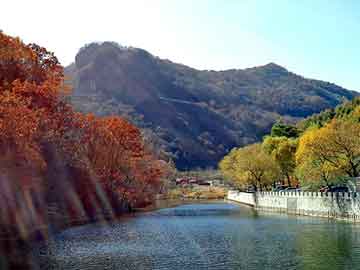 新澳天天开奖资料大全旅游团，黄江名车汽贸